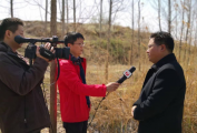 无锡应在COVID-19中实施住房公积金对肺炎疫情的阶段性支持政策